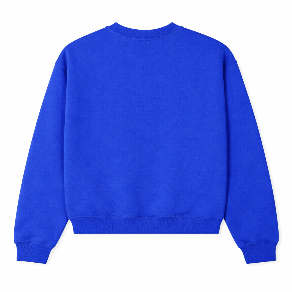 A&S CREW SPECIAL SWEATSHIRT LONG SLV